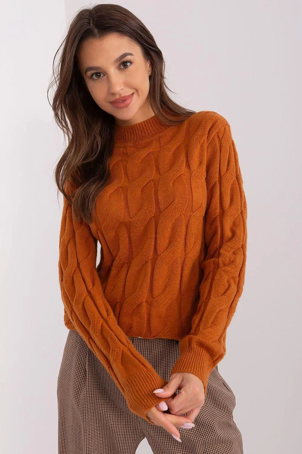 Chic Women's Turtleneck Knit Sweater